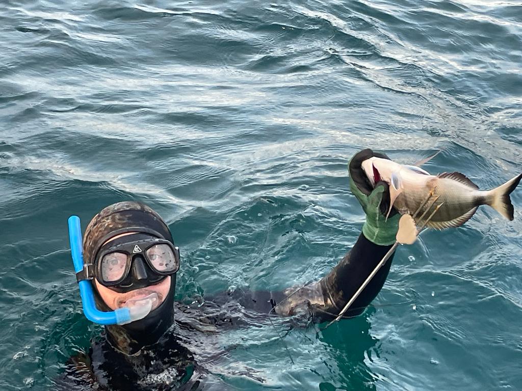 PÊCHE SOUS-MARINE : ENTRETIEN EXCLUSIF AVEC SIMONE BELLONI PASQUINELLI. "L'Indro Montanelli de la chasse sous-marine" 8 PHOTO 2025 10 30 17 44 10 2