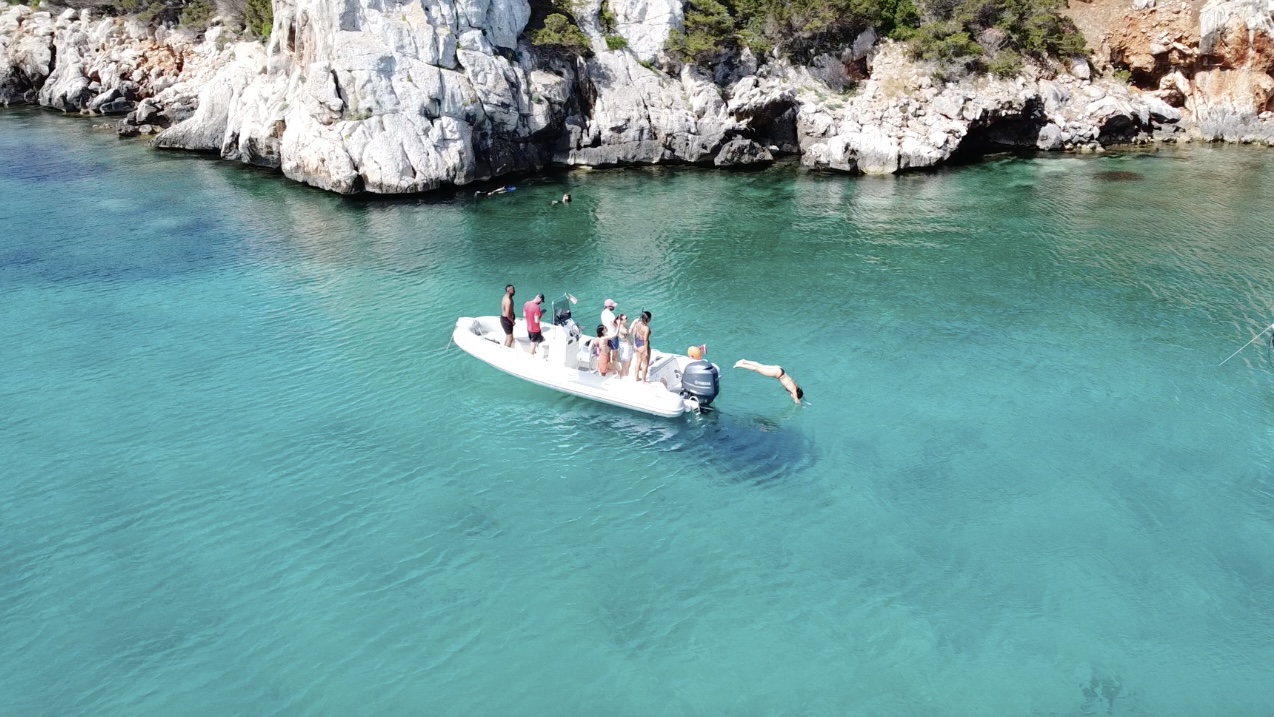 Alghero and posidonia: 4 things you didn't know. 4 Schermata 2025 06 18 alle 15.131 1