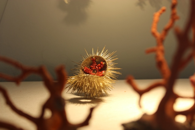 museo del corallo alghero