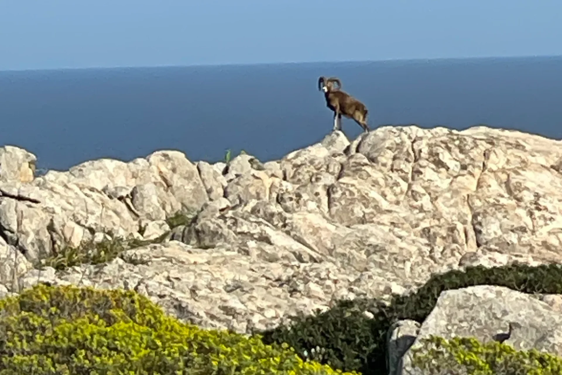 esperienza-trekking-sardegna-sea-experience-sardinia