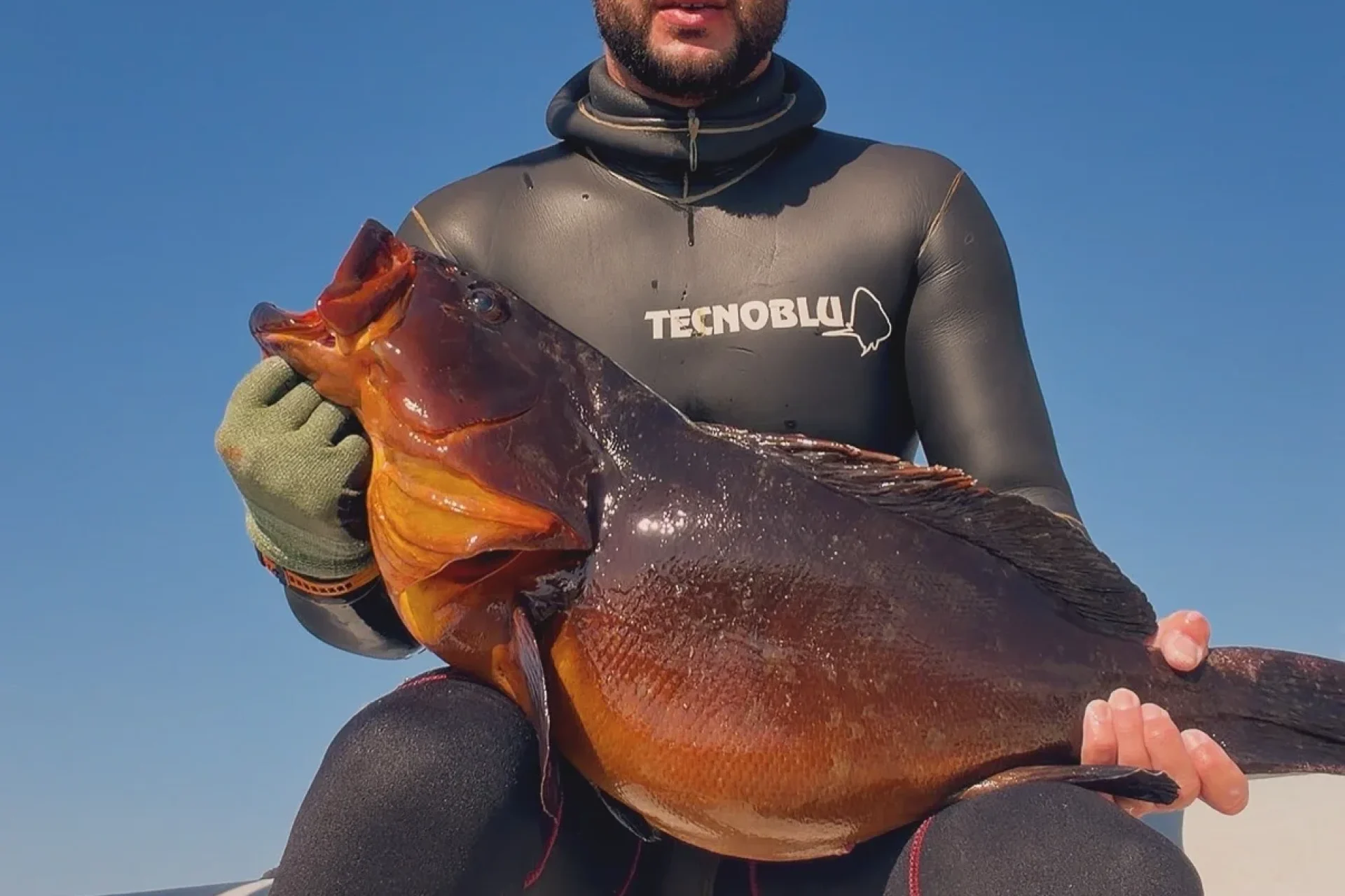 Large grouper caught during a spearfishing experience in Sardinia
